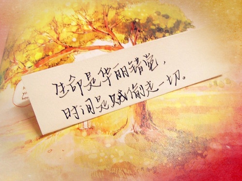 描写松的句子包含哲理100字