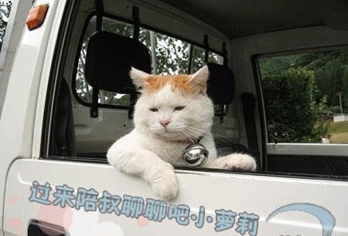 关于读书的英文演讲稿开头