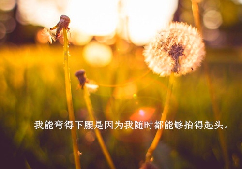金城关文化博览园导游词
