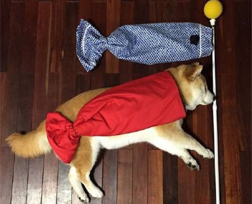 小王子各个角色台词