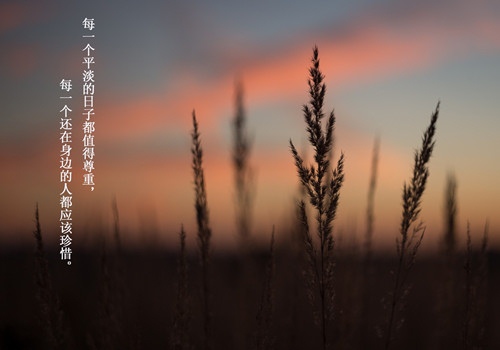 我的中国梦演讲稿8到10分钟