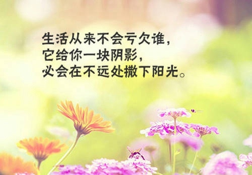 演讲稿六年级500字保护环境