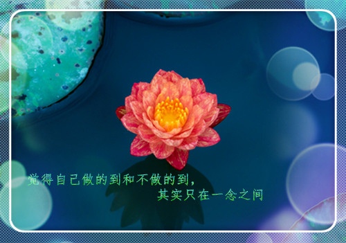 校友经验分享演讲稿